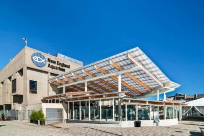 New England Aquarium Entry + Optional Simons Theatre