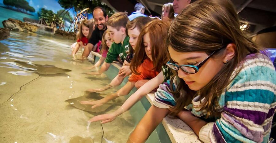 Boston: New England Aquarium Entry + Optional Simons Theatre - Consider the Simons Theatre combo