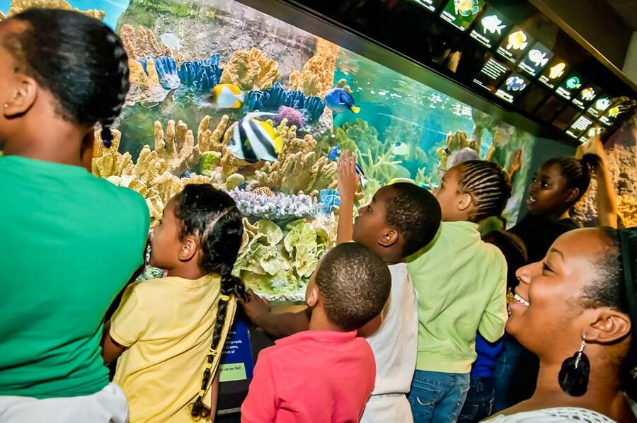 Boston: New England Aquarium Entry + Optional Simons Theatre - Plan around crowds, children, and mobility needs
