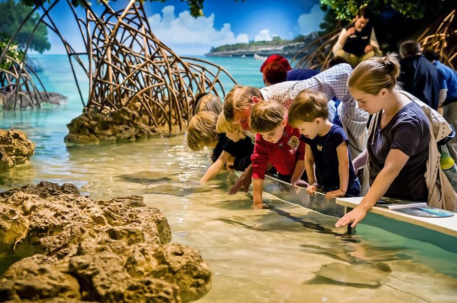 Boston: New England Aquarium Entry + Optional Simons Theatre - How long should you spend inside?