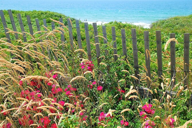 Boston to Martha's Vineyard Day Trip with Optional Island Tour - Edgartown, Aquinnah, and the best scenery