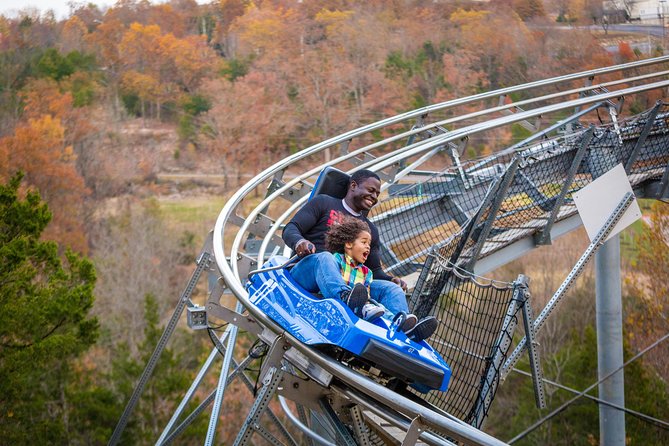 Branson Alpine Mountain Coaster Ticket - Why Families Like the Tandem Option