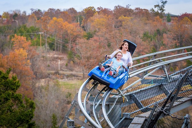 Branson Alpine Mountain Coaster Ticket - Daylight or Night: Choosing the Better Time