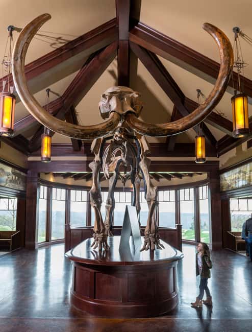 Branson: Top of the Rock Ozarks Heritage Preserve - Should you book Top of the Rock?