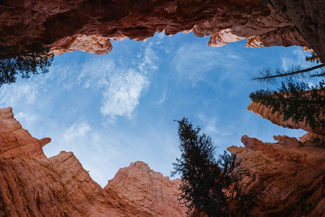Bryce Canyon & Zion National Park from Las Vegas with Lunch, WiFi - Guides, drivers, and the human side of the trip