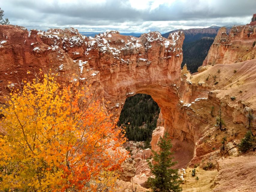 Bryce: Guided Sightseeing Tour of Bryce Canyon National Park - Key details to know before you go
