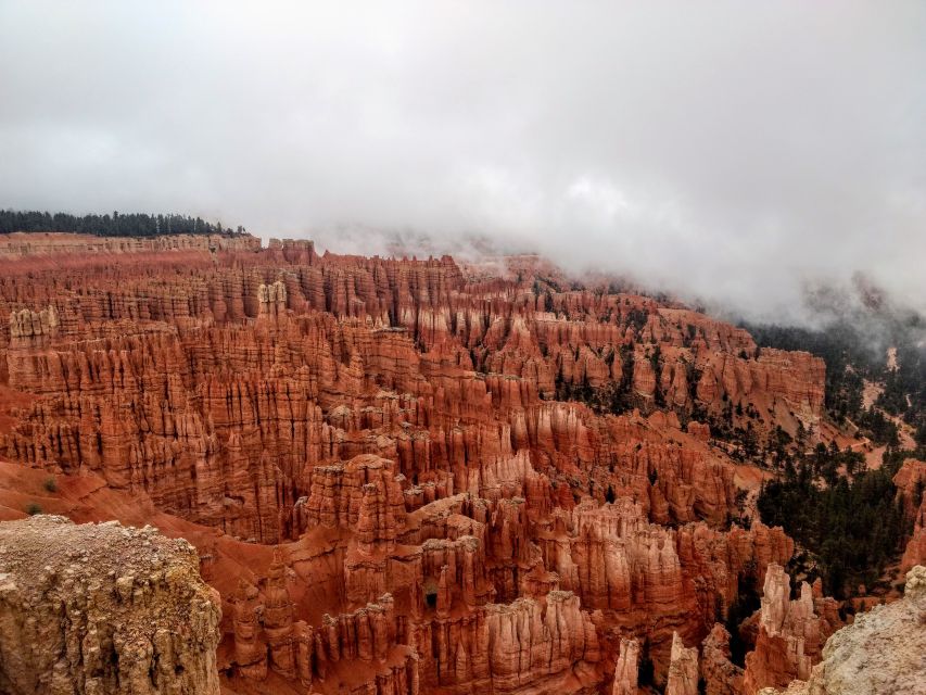 Bryce: Guided Sightseeing Tour of Bryce Canyon National Park - Who will get the most from this Bryce tour