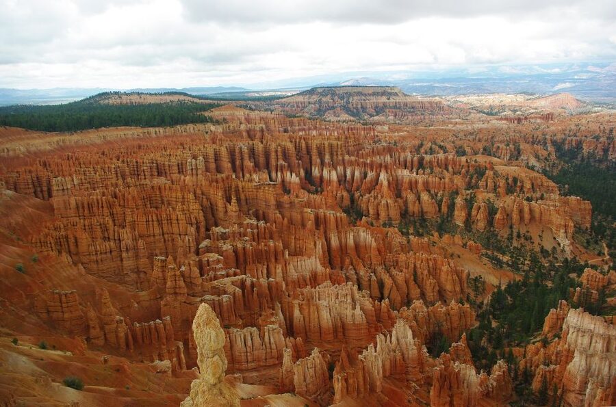 Bryce: Guided Sightseeing Tour of Bryce Canyon National Park - Inspiration Point is made for hunting hoodoos