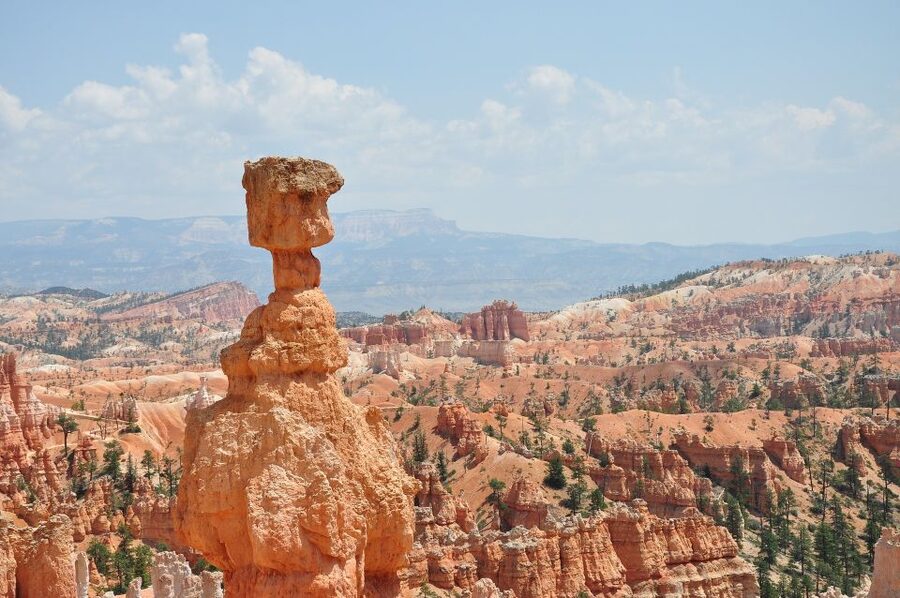 Bryce: Guided Sightseeing Tour of Bryce Canyon National Park - Wall Street brings the tour to Bryce’s most famous formations