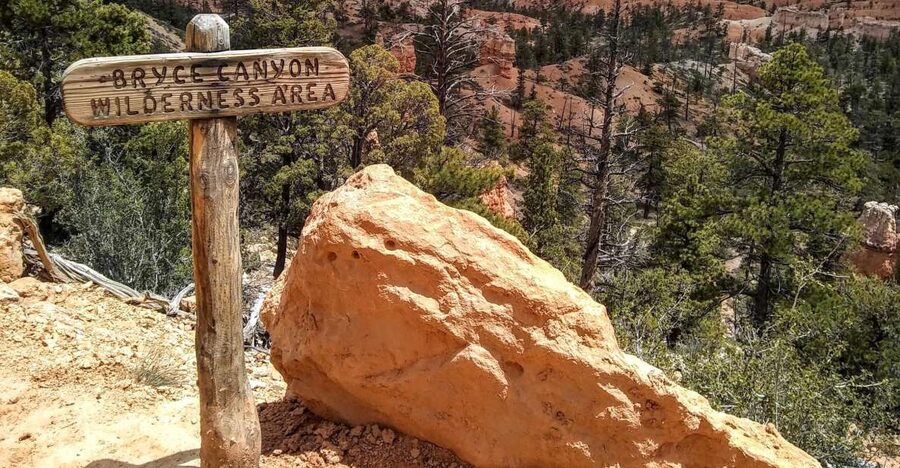 Bryce: Guided Sightseeing Tour of Bryce Canyon National Park - Fairyland Canyon starts the tour with ancient trees and strange stone