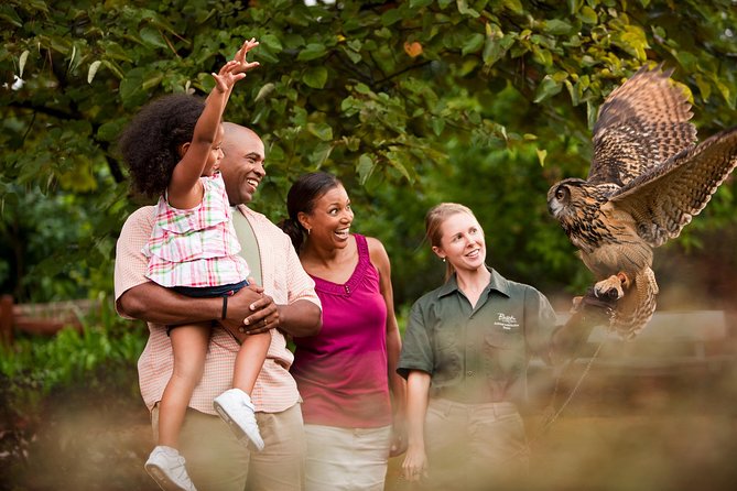 Busch Gardens Williamsburg Admission Ticket - European Food, Beer, and Sweet Stops