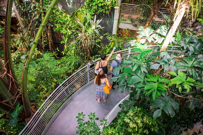 California Academy of Sciences General Admission Ticket - Steinhart Aquarium: the strongest part of the visit