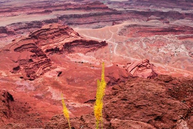 Canyonlands National Park Backcountry 4x4 Adventure from Moab - Shafer Trail delivers the tour’s biggest thrill