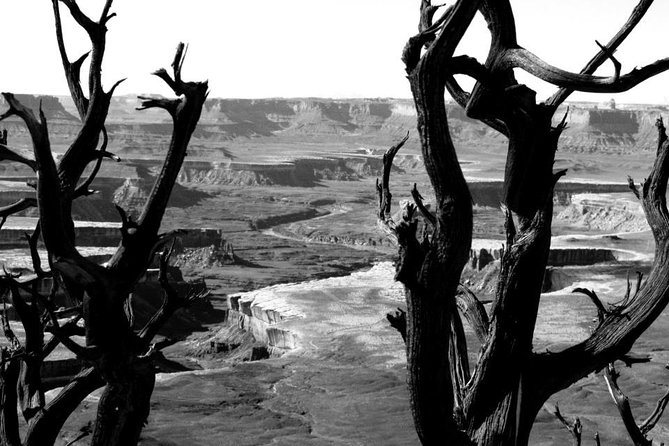 Canyonlands National Park Half-Day Tour from Moab - Thelma and Louise Point and Shafer Trail