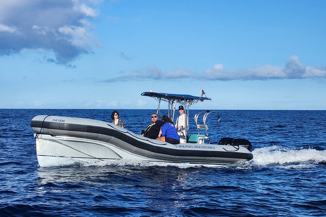 Captain Cook Snorkel Tour with Sea Caves and Lava Tubes - Dolphins, whales, turtles, and the luck factor