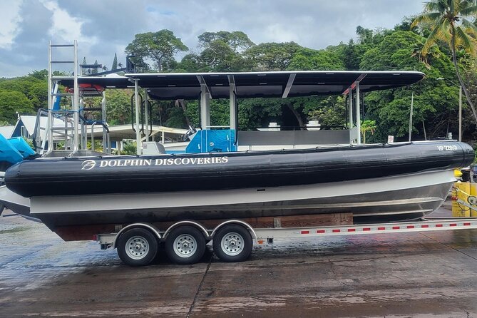 Captain Cook Snorkel Tour with Sea Caves and Lava Tubes - Snorkeling near Captain Cook’s Monument