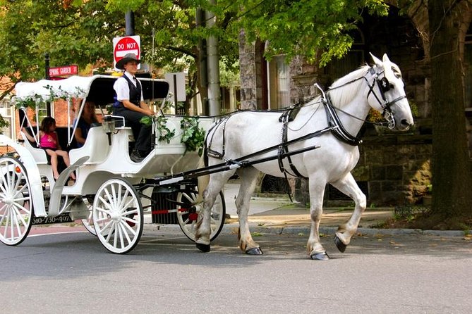 Carriage Ride in Central Park (VIP - PRIVATE) Since 1964™ - What this private carriage ride is really like