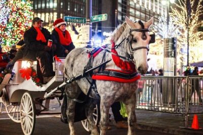 Carriage Ride in Central Park (VIP – PRIVATE) Since 1964™