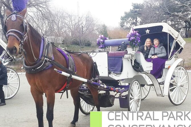 Carriage Ride in Central Park (VIP - PRIVATE) Since 1964™ - The Lake, Loeb Boathouse, and Bethesda Fountain