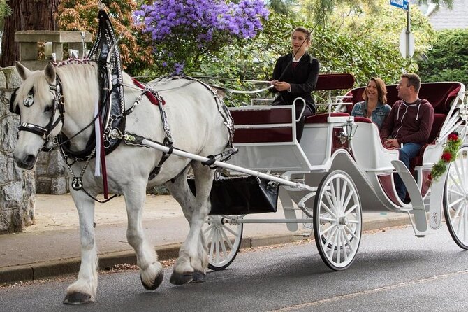 Carriage Ride in Central Park (VIP - PRIVATE) Since 1964™ - Strawberry Fields and the Dakota Building