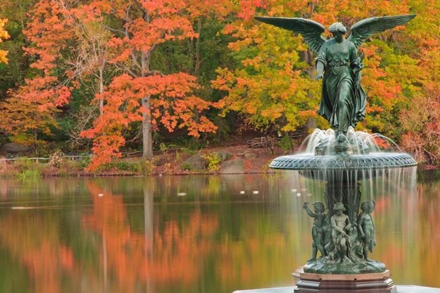 Central Park Bike Rental - The sights that deserve a stop