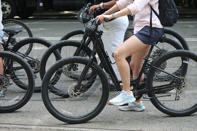 Central Park Bike Rental New York City - The Zoo, Imagine Mosaic, And Southern Highlights