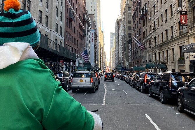 Central Park Guided Pedicab Tours - The Two-Hour Ride Adds the Park’s Northern Character