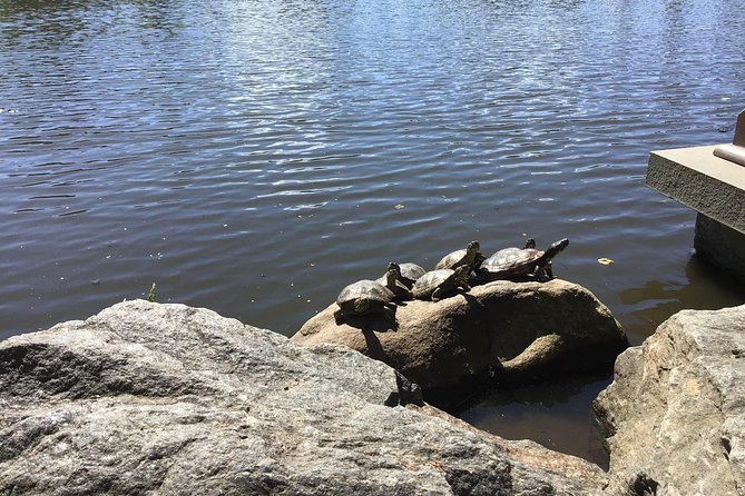 Central Park Guided Walking Tour - How the $44.20 price holds up