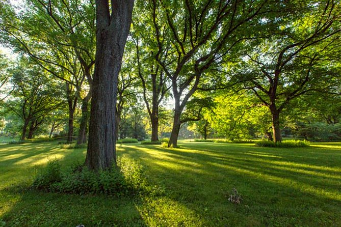 Central Park Guided Walking Tour - Choosing the right season and time