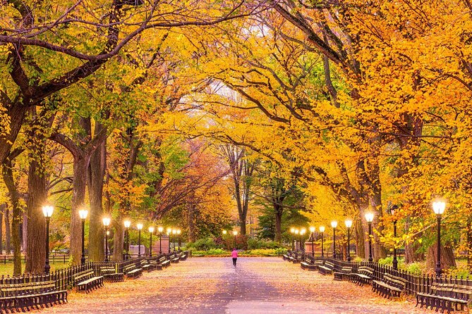 Central Park TV and Movie Sites Walking Tour - Key things to know before you book