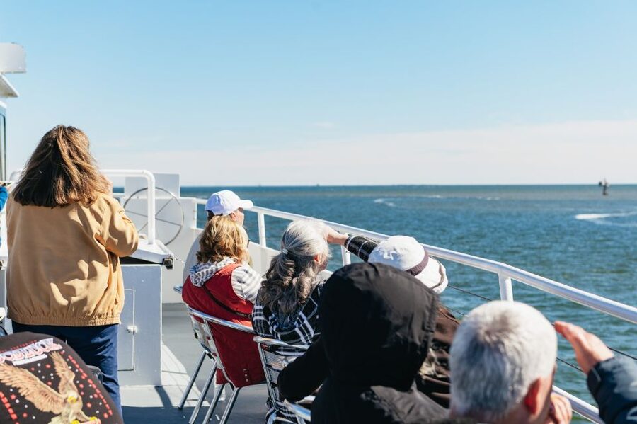 Charleston: Daytime or Sunset Historic Harbor Cruise - The Ravenel Bridge and the wide harbor view