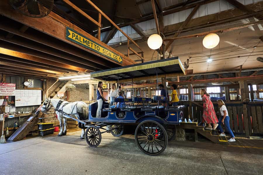Charleston: Downtown Horse-Drawn Carriage Tour - A gentle start at the big red barn