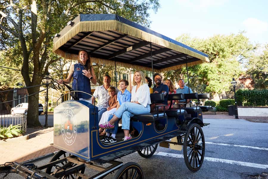 Charleston: Downtown Horse-Drawn Carriage Tour - Horse care and the pace of the ride