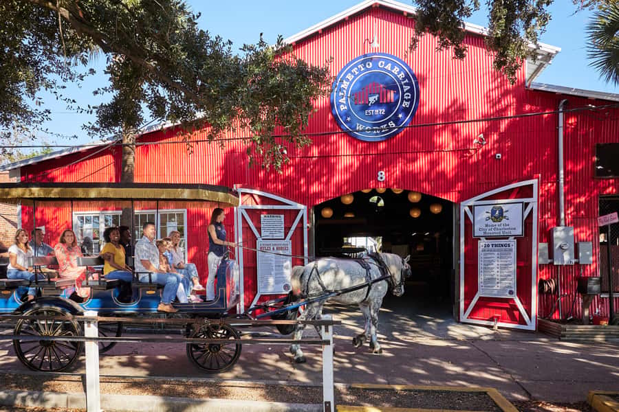 Charleston: Downtown Horse-Drawn Carriage Tour - Weather, seating, and simple preparation