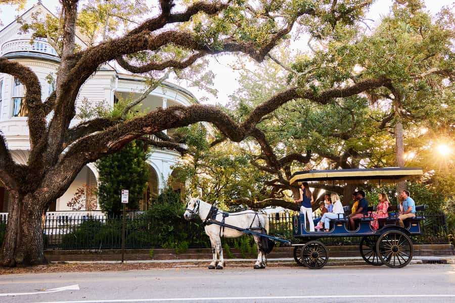 Charleston: Downtown Horse-Drawn Carriage Tour - Historic Charleston at carriage speed