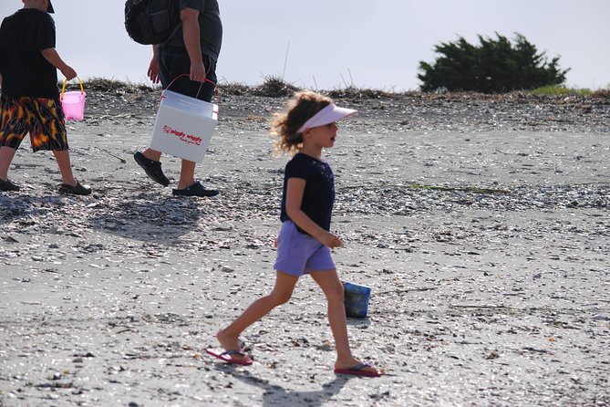 Charleston Eco Boat Cruise with stop at Morris Island Lighthouse - Wildlife, shells, and the value of local narration