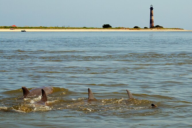 Charleston Eco Boat Cruise with stop at Morris Island Lighthouse - Weather, comfort, and what to pack