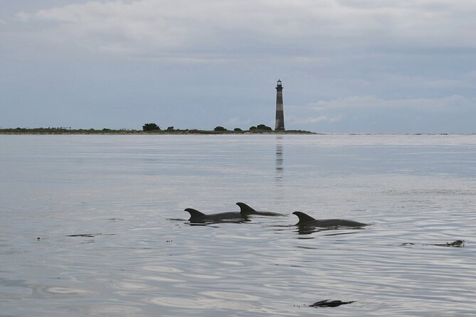 Charleston Eco Boat Cruise with stop at Morris Island Lighthouse - The boat ride through Charleston’s tidal creeks