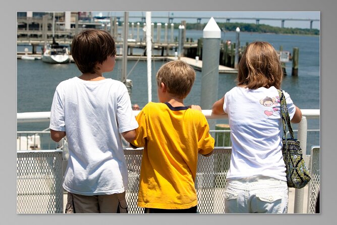 Charleston Harbor History Day-Time or Sunset Boat Cruise - Bridges, Waterfront Park, dolphins, and pelicans