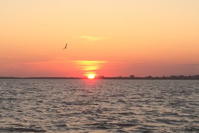 Charleston Harbor Sunset Cruise - Dolphins and other wildlife along the shoreline