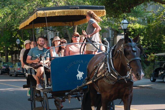 Charleston Horse & Carriage Historic Sightseeing Tour - The horses are more than transportation