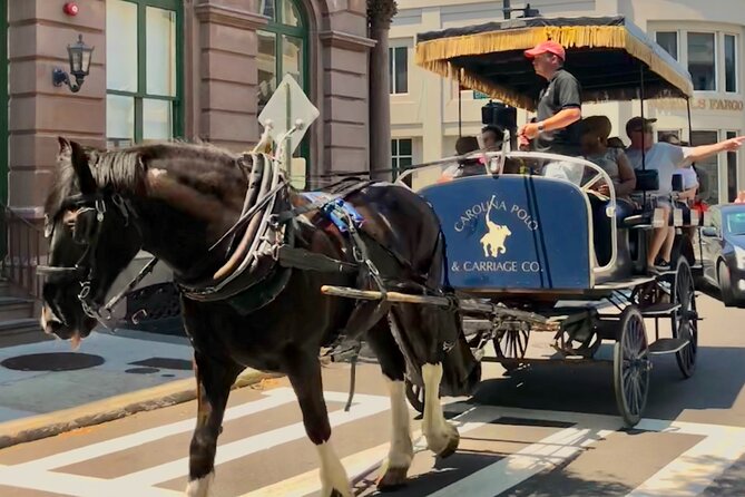 Charleston Horse & Carriage Historic Sightseeing Tour - What $45 buys you