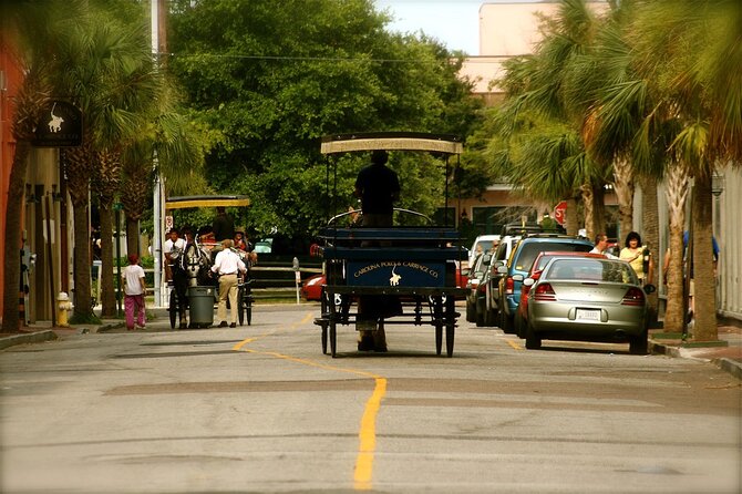 Charleston Horse & Carriage Historic Sightseeing Tour - Timing, seasons, and group size