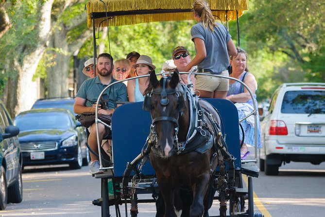 Charleston Horse & Carriage Historic Sightseeing Tour - The Battery and White Point Gardens