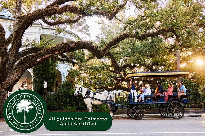 Charleston Horse-Drawn Carriage Tour: Explore Historic Charleston - What the one-hour carriage ride actually covers