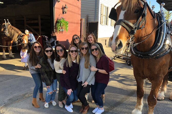 Charleston's Historic Residential Horse and Carriage Tour - A route chosen by bingo, not by you