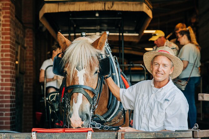 Charleston’s Old South Carriage Historic Horse & Carriage Tour - Why a Horse and Carriage Is a Good Way to Meet Charleston