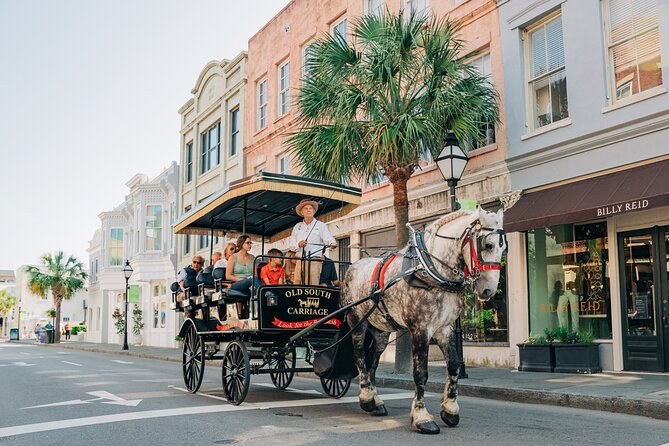 Charleston’s Old South Carriage Historic Horse & Carriage Tour - What You See During the 2.5-Mile Ride