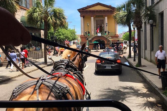 Charleston’s Old South Carriage Historic Horse & Carriage Tour - Weather, Comfort, and Small Practical Details