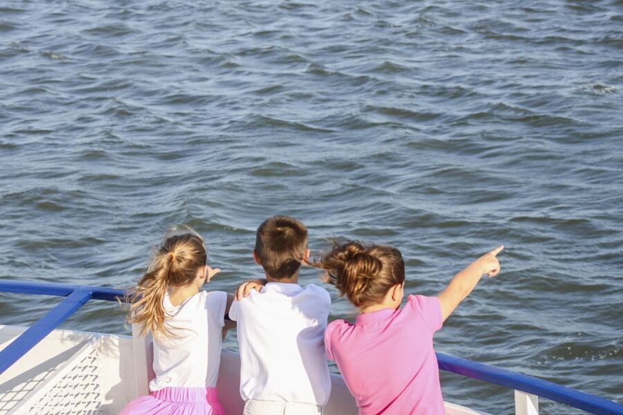 Charleston: Sightseeing Harbor Tour & Dolphin Watch - Dolphins Are A Welcome Surprise